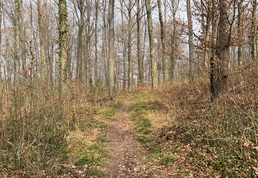 20220325073931-14b84d9c